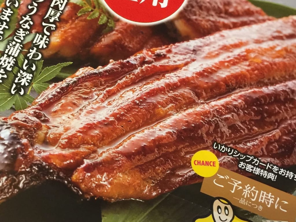 いかりスーパーうなぎ蒲焼チラシ1