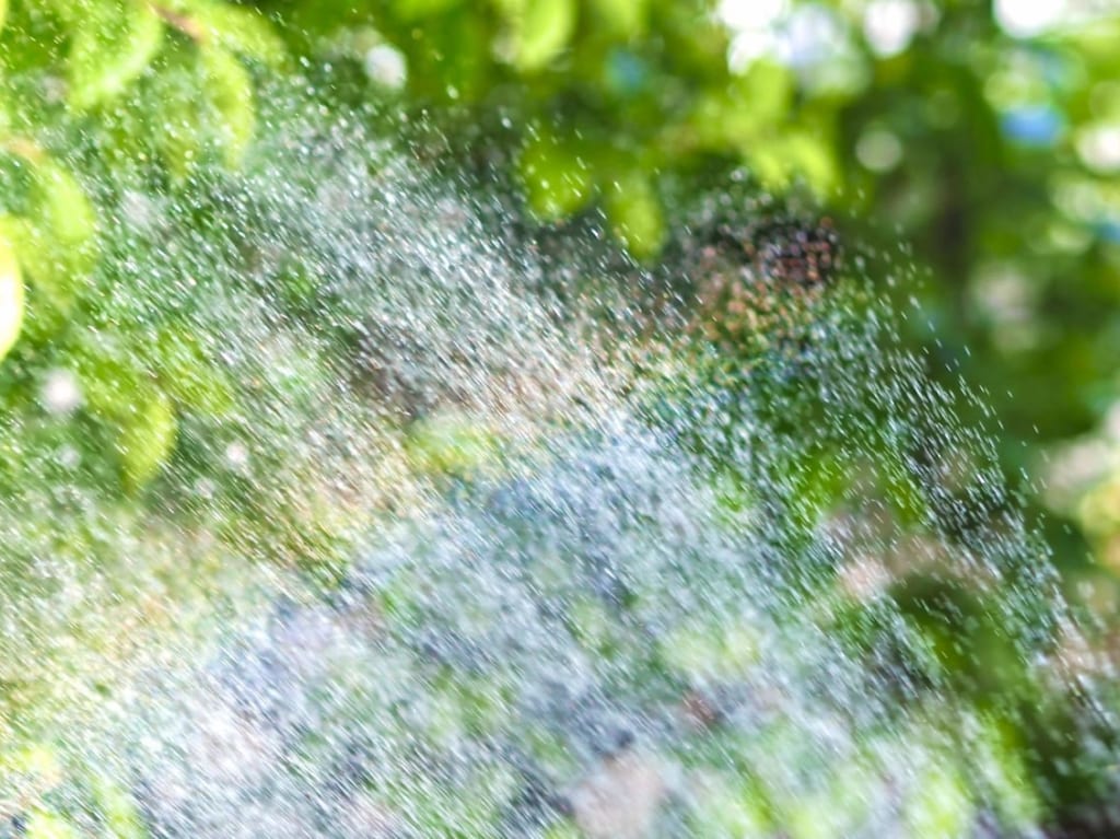 打ち水イメージ２