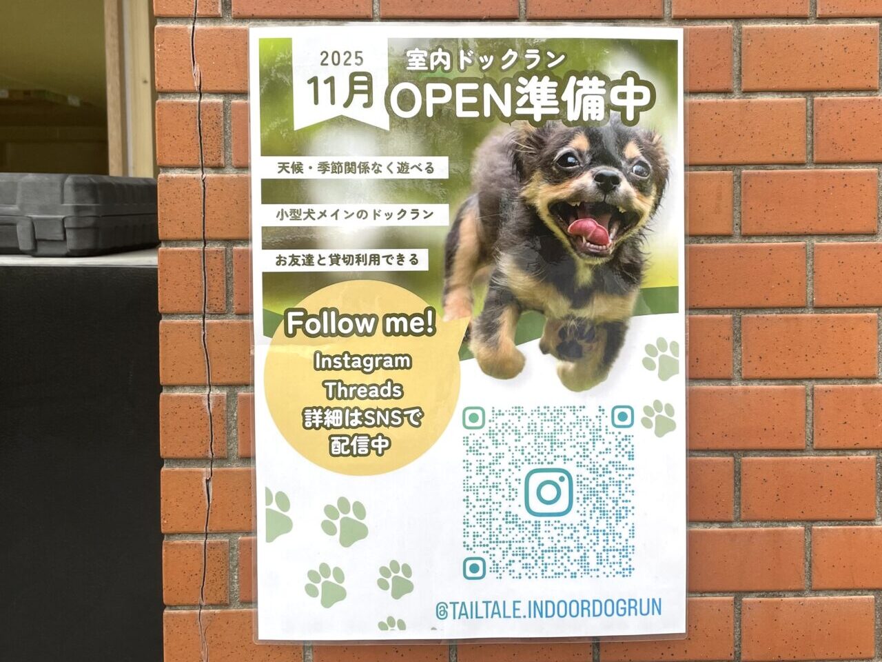 室内ドッグランTailTale　オープンちらし