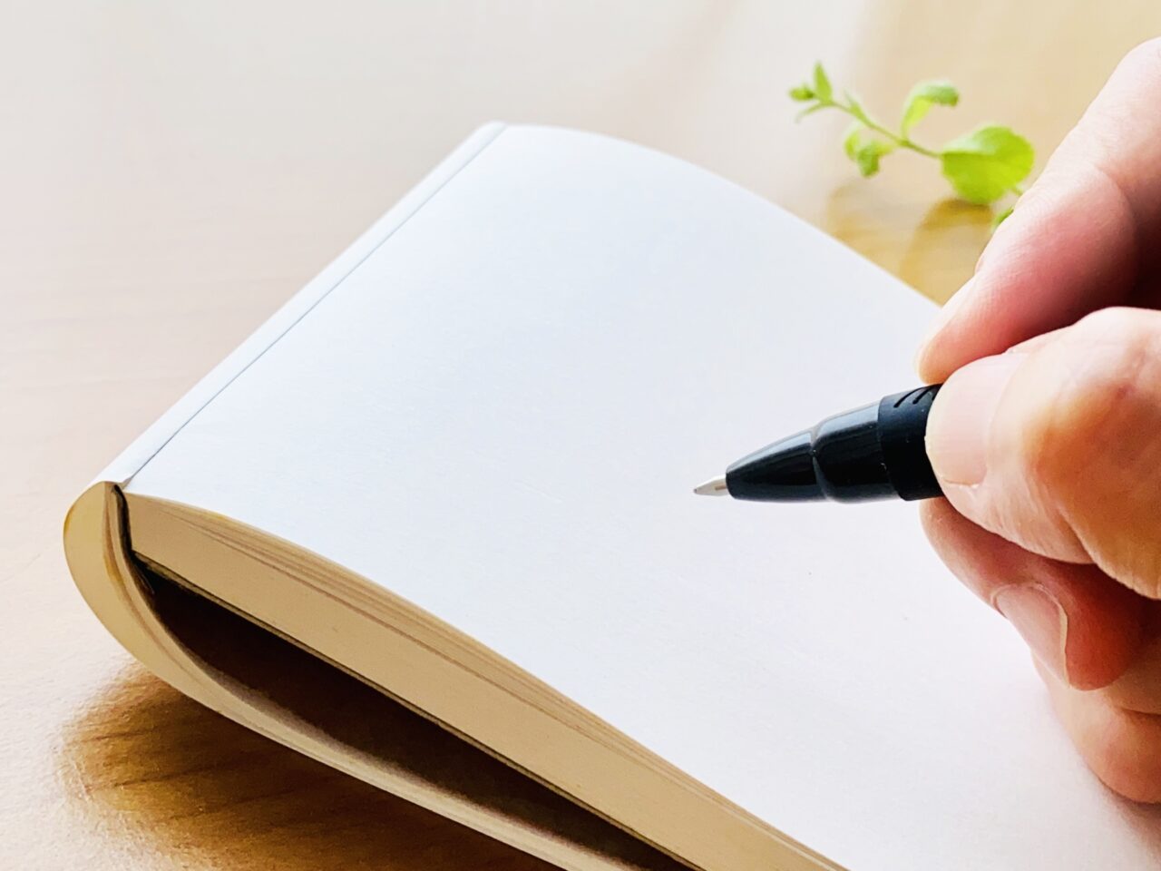 俳句をよむ イメージ