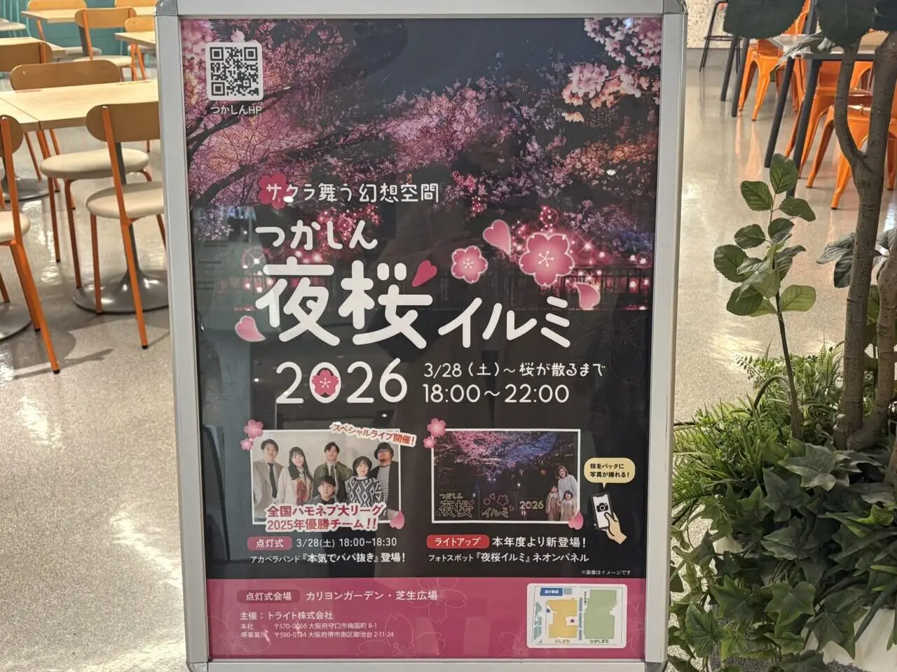 つかしん夜桜イルミ2026POP